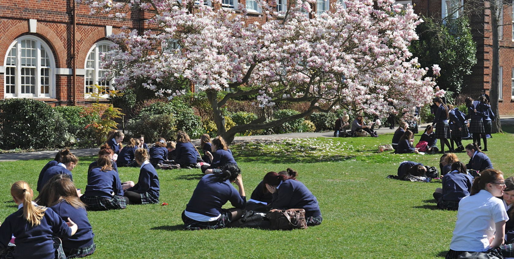 Careers at Rosebery School Epsom, United Kingdom, KT18 7NQ Eteach